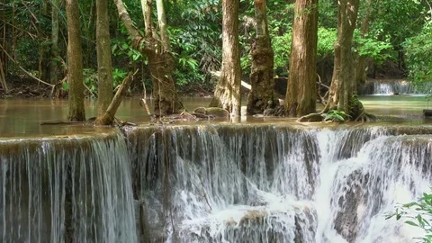 Beautiful waterfall in the national park forest Stock Footage 80579128