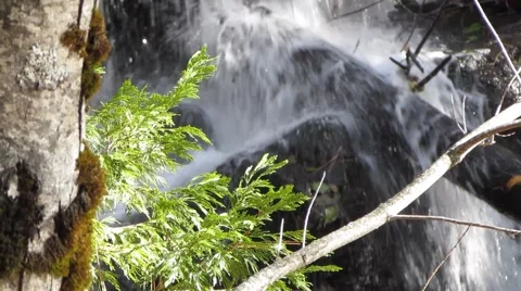 Beautiful Waterfall in Nature 2 Stock Footage 43967979