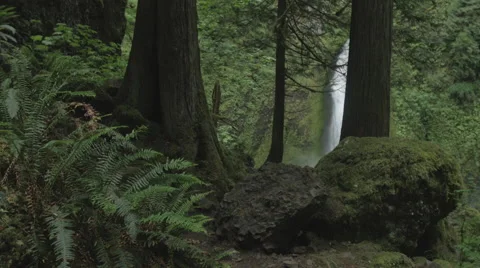 Beautiful waterfall in oregon Stock Footage 44324314