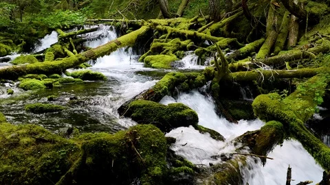 Beautiful Waterfall In Oregon Vídeo Stock 113927024
