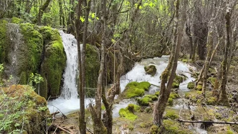 Beautiful Waterfall Over Moss-Covered Rocks in Jiuzhaigou Valley, Sichuan Видео 337277631