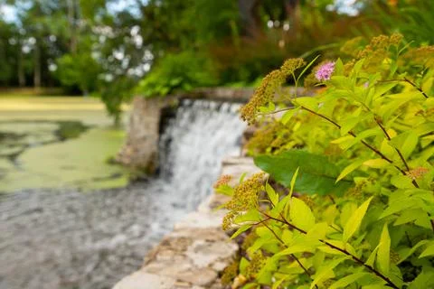 A beautiful waterfall in the park Stock Photos