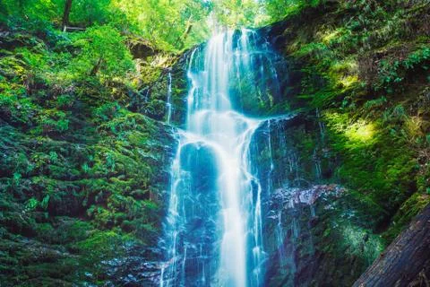 Beautiful waterfall Stock Photos