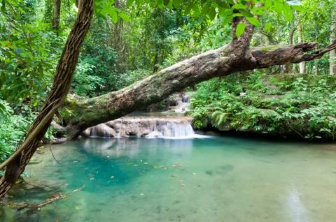 Beautiful waterfall. Stock Photos