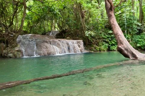 Beautiful waterfall. Stock Photos