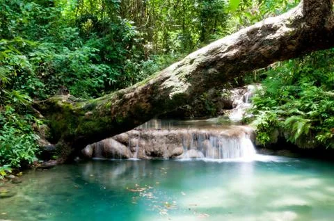 Beautiful waterfall. 写真素材