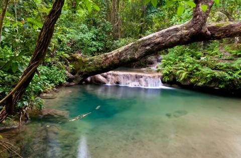 Beautiful waterfall. Fotos de archivo