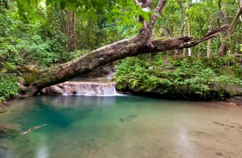 Beautiful waterfall. Stock Photos