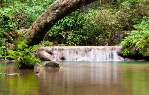 Beautiful waterfall. Stock Photos