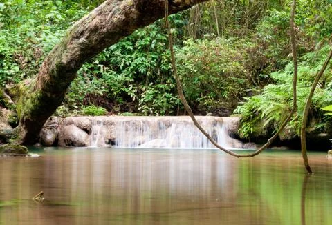 Beautiful waterfall. Stock Photos