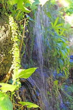 Beautiful waterfall Stock Photos