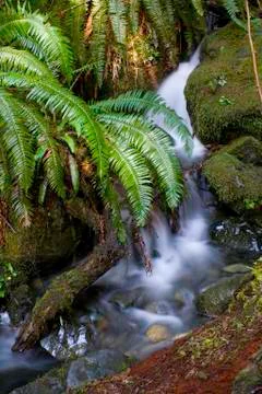 Beautiful waterfall Stock Photos