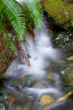 Beautiful waterfall Stock Photos