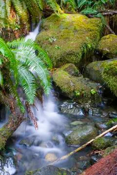 Beautiful waterfall 写真素材