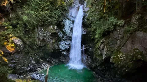 Beautiful Waterfall in the Pine Tree Forest in the Morning Stock Footage 141017562