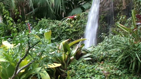 Beautiful Waterfall in Rain Forest Stock Footage 245033