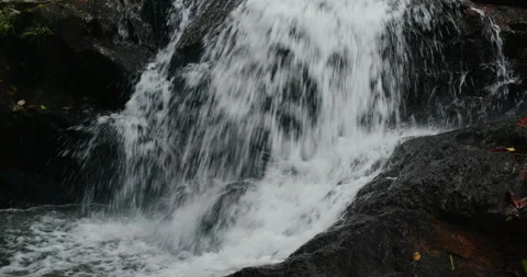 Beautiful waterfall in rain forest Stock Footage 147310574