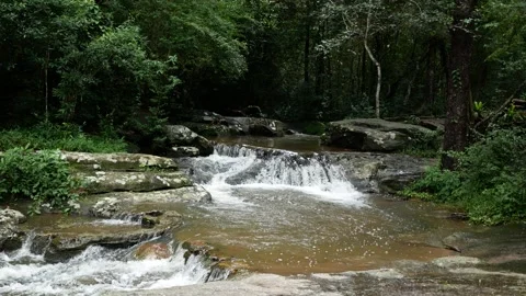 Beautiful waterfall in the rainforest Stock Footage 160534412