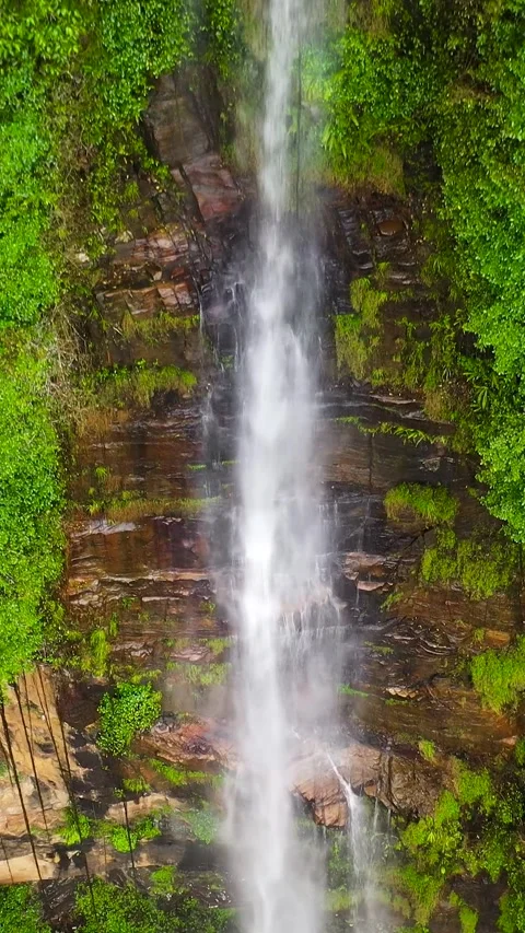 Beautiful waterfall in the rainforest. Stock Footage 273459841