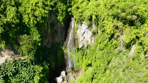 Beautiful waterfall in the rainforest Stock Footage 311348529