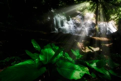 Beautiful waterfall of rainforest. Stock Photos