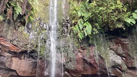 Beautiful waterfall Risco at Levada das 25 Fontes, Madeira island, Portugal. Vidéo 168085069
