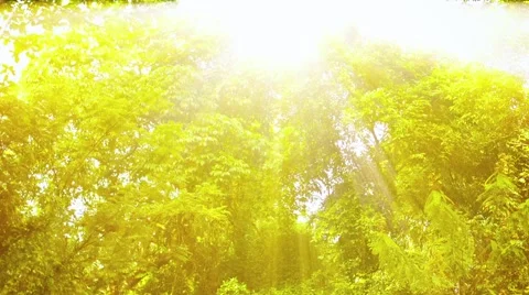 Beautiful Waterfall with Sound under Etherial Sun Rays in Thailand Vídeos de archivo 48337915