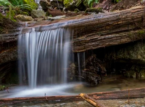 Beautiful waterfall in Spring. Stock Photos