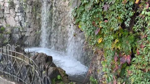 Beautiful waterfall. Stone wall behind the waterfall and autumn leaves. Stock Footage 291395841