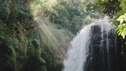 Beautiful waterfall with sun rays in a lush green forest in Oita Vídeos de archivo 336772151