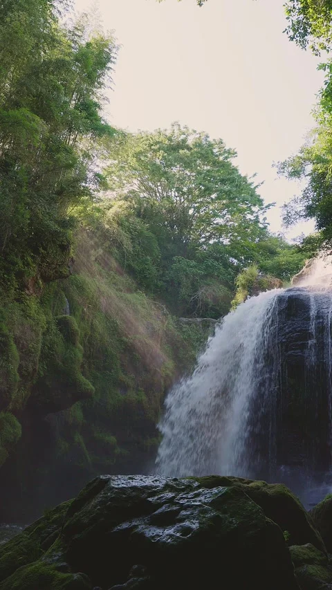 Beautiful waterfall with sun rays in a lush green forest in Oita Vídeos de archivo 336928775