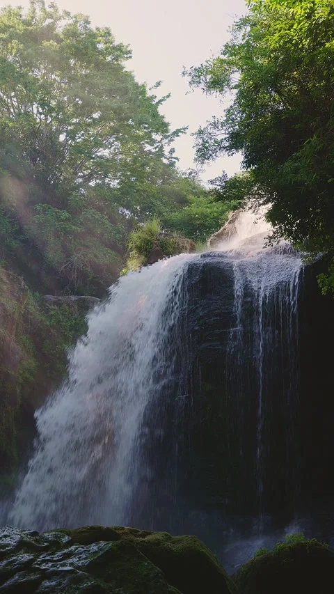 Beautiful waterfall with sun rays in a lush green forest in Oita Stock Footage 336928776