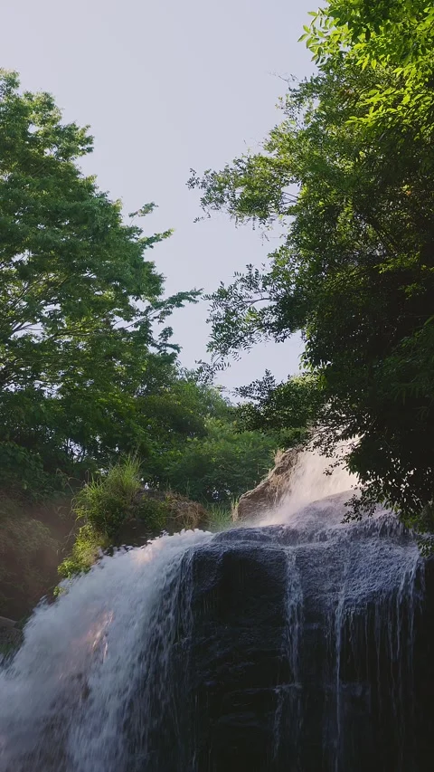 Beautiful waterfall with sun rays in a lush green forest in Oita Vídeos de archivo 336928778