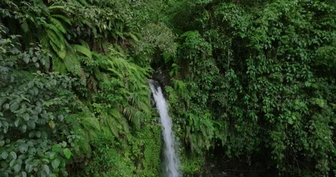 A beautiful waterfall surrounded by a dense green forest Stock Footage 275822286