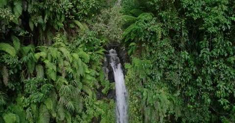A beautiful waterfall surrounded by a dense green forest Stock Footage 276090770