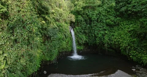 A beautiful waterfall surrounded by a dense green forest Stock Footage 276451290