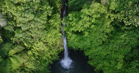 A beautiful waterfall surrounded by a dense green forest Stockbeeldmateriaal 276517445