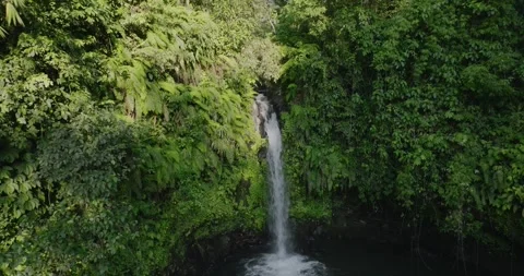 A beautiful waterfall surrounded by a dense green forest Stock Footage 276597260