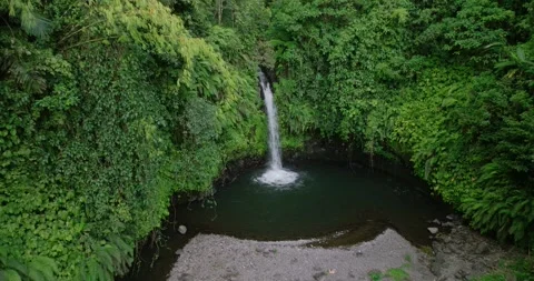 A beautiful waterfall surrounded by a dense green forest Stock Footage 276718635