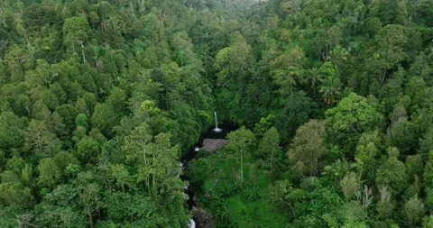A beautiful waterfall surrounded by a dense green forest Stock Footage 276966388