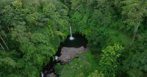 A beautiful waterfall surrounded by a dense green forest Stock Footage 277028204