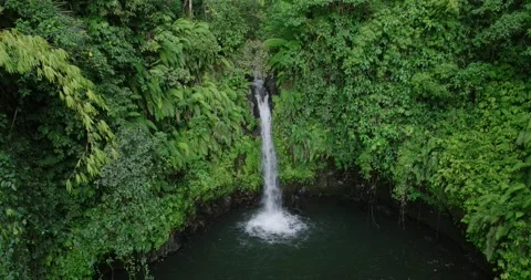 A beautiful waterfall surrounded by a dense green forest Видео 277028882