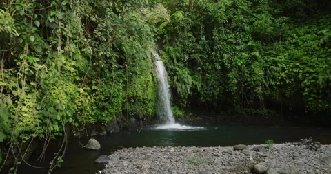 A beautiful waterfall surrounded by a dense green forest Видео 277112695