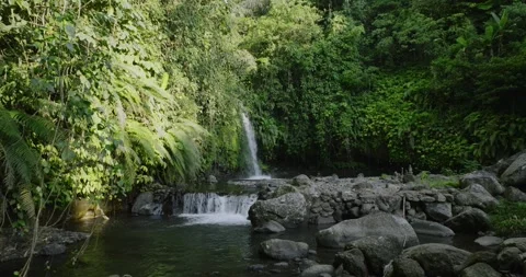 A beautiful waterfall surrounded by a dense green forest Stock Footage 277114306