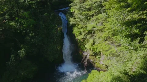 Beautiful waterfall surrounded by a forest of herbs invites us to take Stock Footage 171587587