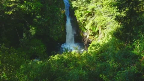 Beautiful waterfall surrounded by a forest of herbs invites us to take Stock Footage 171587589