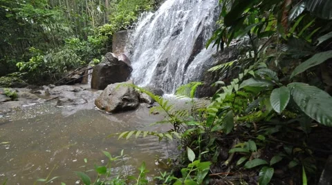 Beautiful Waterfall In Tropical Forest, Camera Slide Backwards Video stock 47892115