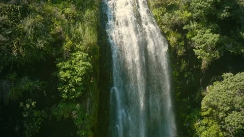 Beautiful waterfall in tropical native rainforest, New Zealand Stock Footage 231592882