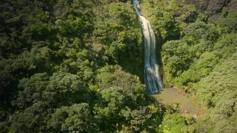 Beautiful waterfall in tropical native rainforest, New Zealand Video stock 231592886