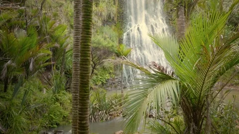 Beautiful waterfall in tropical native rainforest, New Zealand Stock Footage 231592902